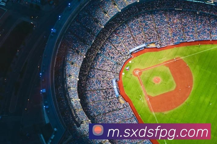 pg官网平台生态图